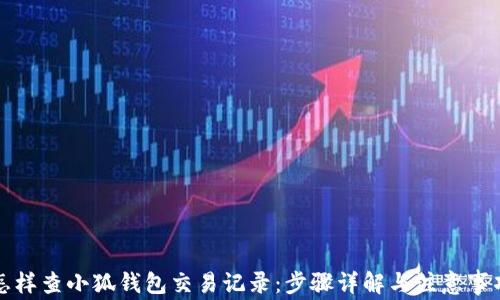 
怎样查小狐钱包交易记录：步骤详解与注意事项