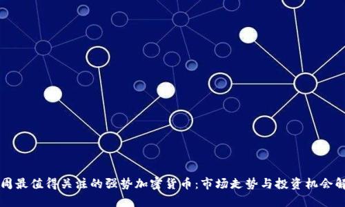 本周最值得关注的强势加密货币：市场走势与投资机会解析