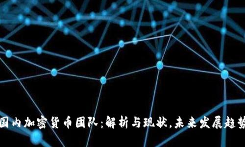 国内加密货币团队：解析与现状，未来发展趋势
