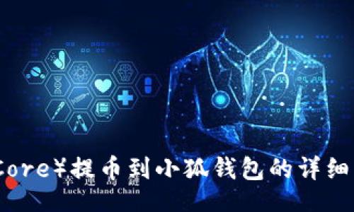 coder
核心链（Core）提币到小狐钱包的详细流程解析