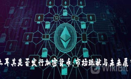 土耳其是否发行加密货币：市场现状与未来展望