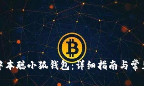 如何安装中本聪小狐钱包：详细指南与常见问题解答