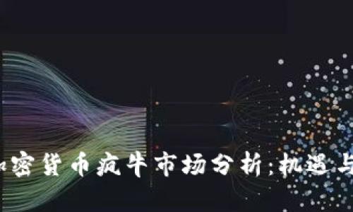 2023年加密货币疯牛市场分析：机遇与挑战详解