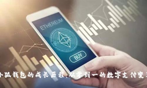 小狐钱包的成长历程：从零到一的数字支付变革