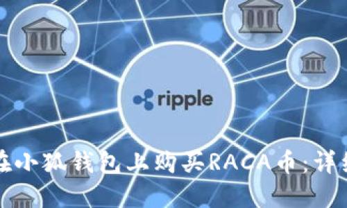 如何在小狐钱包上购买RACA币：详细指南