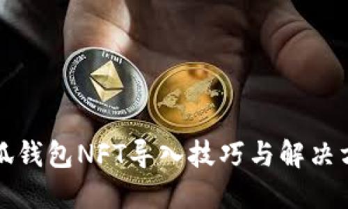 小狐钱包NFT导入技巧与解决方案
