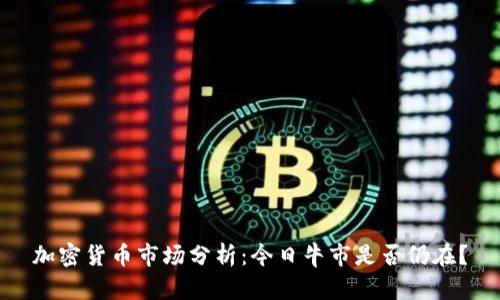 加密货币市场分析：今日牛市是否仍在？