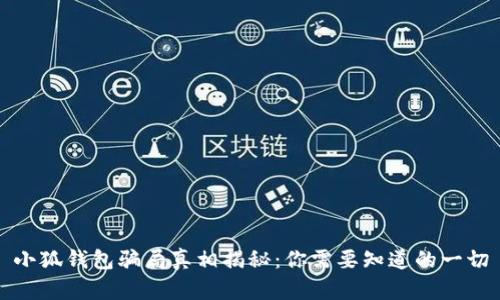 小狐钱包骗局真相揭秘：你需要知道的一切