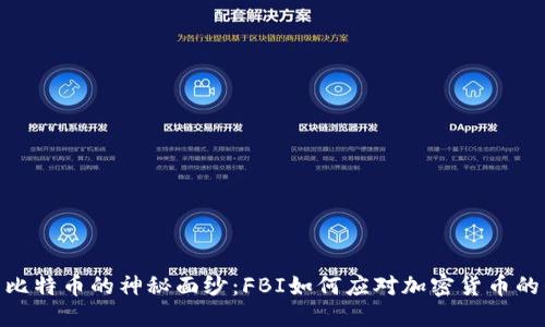 揭开比特币的神秘面纱：FBI如何应对加密货币的崛起