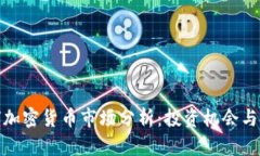 全球加密货币市场分析：