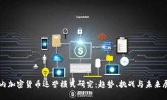 国内加密货币运营模式研