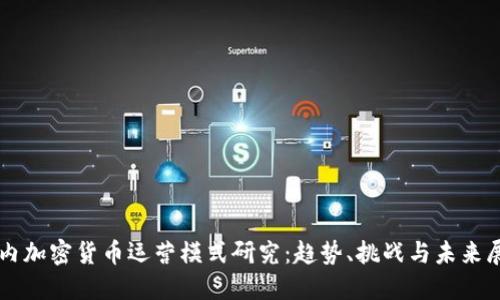 国内加密货币运营模式研究：趋势、挑战与未来展望