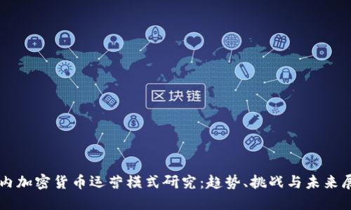 国内加密货币运营模式研究：趋势、挑战与未来展望