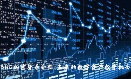 BHD加密货币介绍：未来的数字资产投资机会