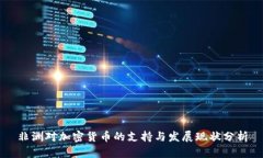 非洲对加密货币的支持与
