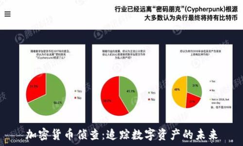   
加密货币侦查：追踪数字资产的未来