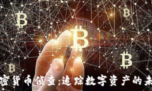   
加密货币侦查：追踪数字资产的未来