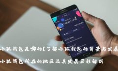 小狐钱包是哪的？了解小