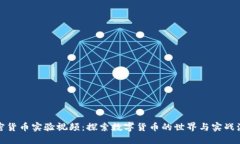 加密货币实验视频：探索