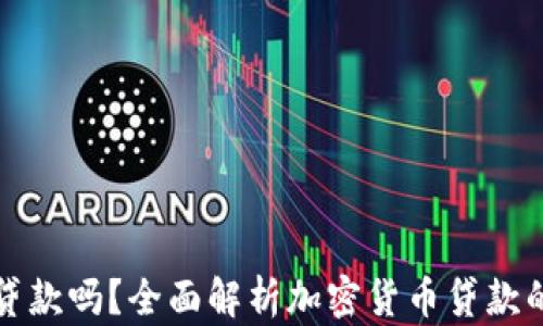 
加密货币能贷款吗？全面解析加密货币贷款的现状与未来