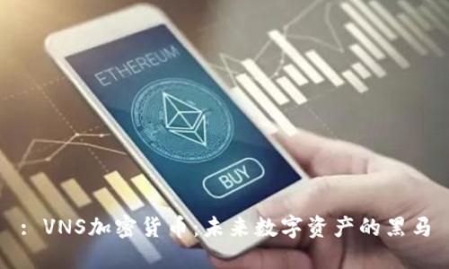 : VNS加密货币：未来数字资产的黑马