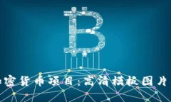 提升您的加密货币项目：