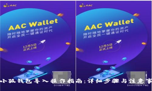 : 小狐钱包导入操作指南：详细步骤与注意事项
