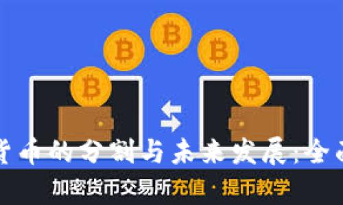 加密货币的分割与未来发展：全面解析