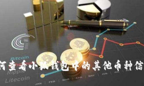 如何查看小狐钱包中的其他币种信息？