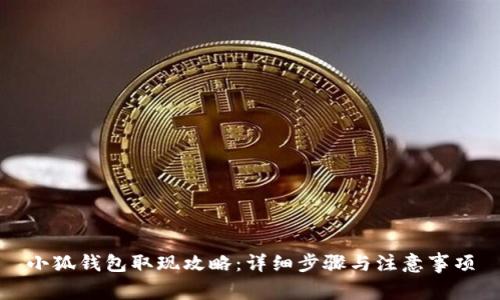 小狐钱包取现攻略：详细步骤与注意事项
