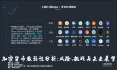 加密货币脆弱性分析：风