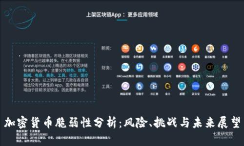 加密货币脆弱性分析：风险、挑战与未来展望