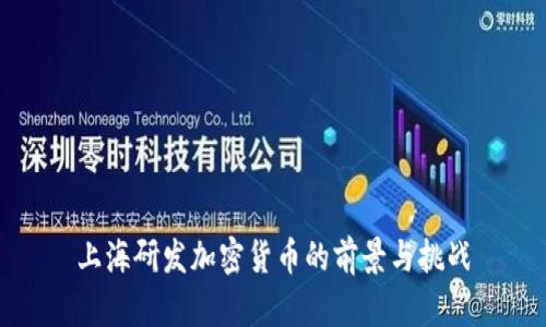 上海研发加密货币的前景与挑战