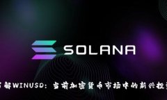深入了解WINUSD: 当前加密货