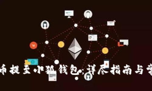 如何将欧意币提至小狐钱包：详尽指南与常见问题解答