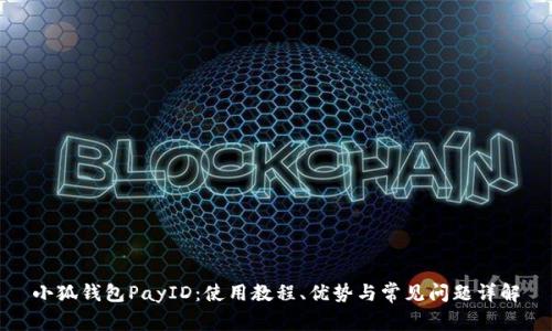 小狐钱包PayID：使用教程、优势与常见问题详解