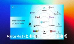 MetaMask支持的格式及其全面