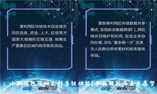 : 小狐钱包何时支持多链功能？全面解析与未来展望
