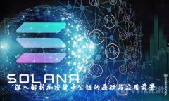 深入解析加密货币公链的