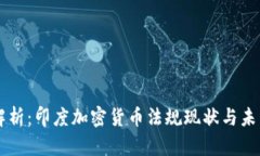 深入解析：印度加密货币