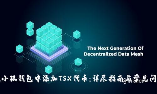 如何在小狐钱包中添加TSX代币：详尽指南与常见问题解答