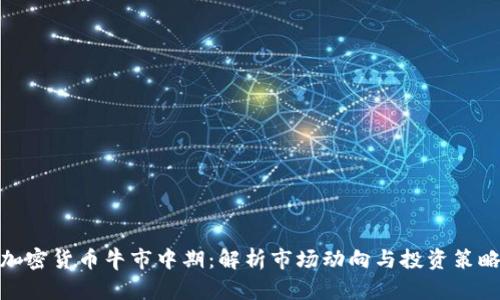加密货币牛市中期：解析市场动向与投资策略