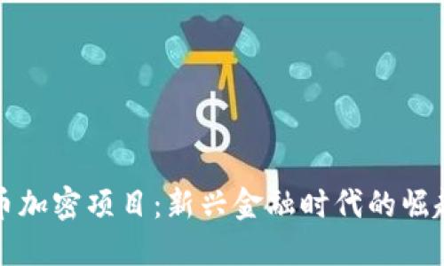伊朗货币加密项目：新兴金融时代的崛起与挑战