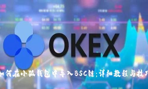 如何在小狐钱包中导入BSC链：详细教程与技巧