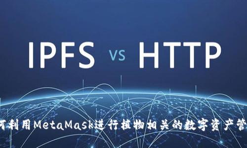 如何利用MetaMask进行植物相关的数字资产管理？