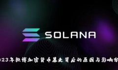 2023年微博加密货币暴走背