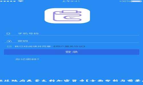 阿根廷政府是否支持加密货币？全面分析与前景展望