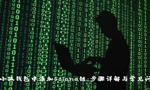 如何在小狐钱包中添加Solana链：步骤详解与常见问题解答