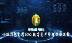 小狐钱包支持BSC：数字资