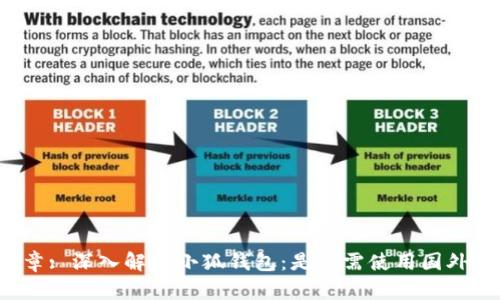 文章: 深入解析小狐钱包：是否需使用国外IP？
